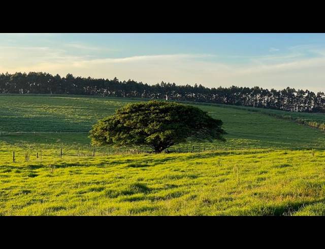 LAND FOR SALE IN MOUNT VERDE